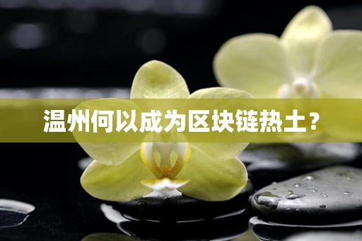 温州何以成为区块链热土？