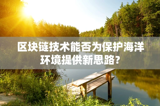 区块链技术能否为保护海洋环境提供新思路？