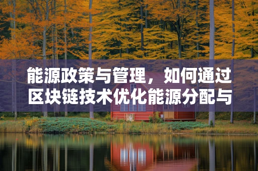 能源政策与管理，如何通过区块链技术优化能源分配与监管？