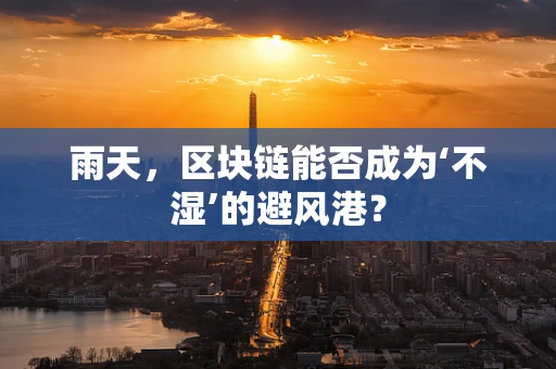雨天，区块链能否成为‘不湿’的避风港？
