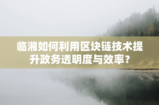 临湘如何利用区块链技术提升政务透明度与效率？