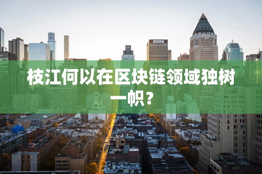 枝江何以在区块链领域独树一帜？