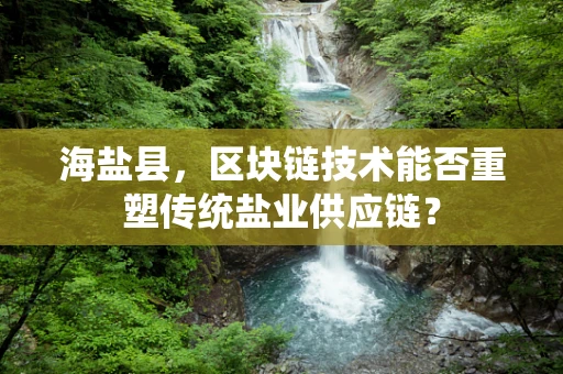 海盐县，区块链技术能否重塑传统盐业供应链？