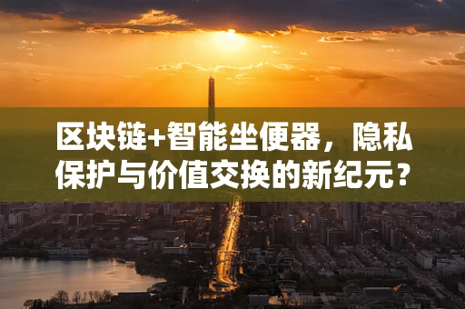 区块链+智能坐便器，隐私保护与价值交换的新纪元？