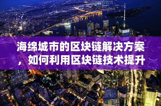海绵城市的区块链解决方案，如何利用区块链技术提升城市排水系统的智能与透明度？