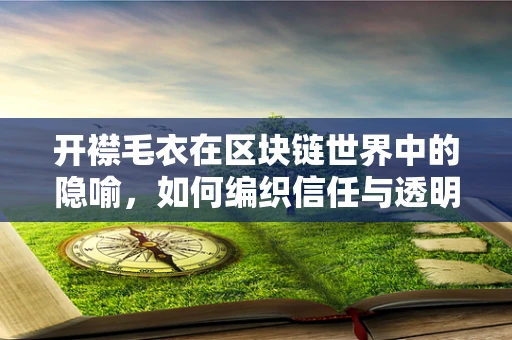 开襟毛衣在区块链世界中的隐喻，如何编织信任与透明的未来？