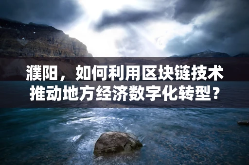 濮阳，如何利用区块链技术推动地方经济数字化转型？