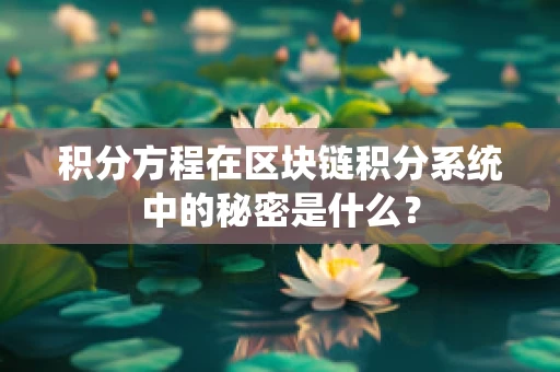 积分方程在区块链积分系统中的秘密是什么？