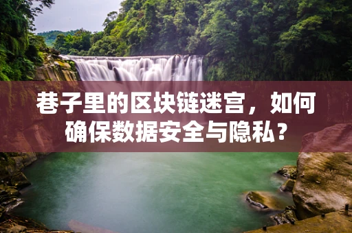 巷子里的区块链迷宫，如何确保数据安全与隐私？