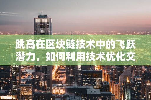 跳高在区块链技术中的飞跃潜力，如何利用技术优化交易效率？