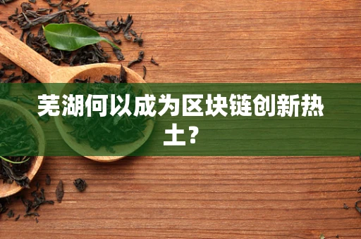 芜湖何以成为区块链创新热土？