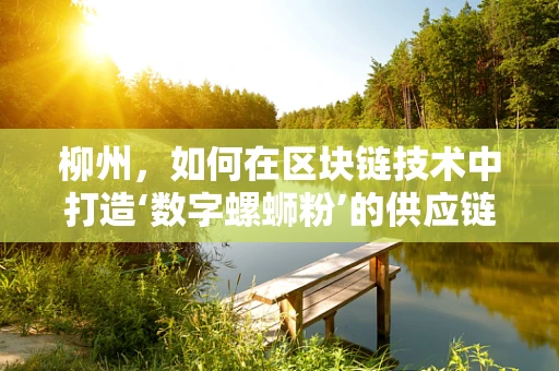柳州，如何在区块链技术中打造‘数字螺蛳粉’的供应链透明度？