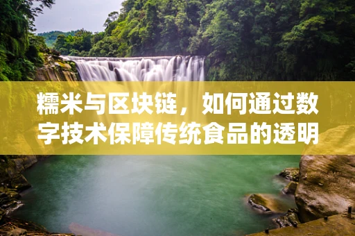 糯米与区块链，如何通过数字技术保障传统食品的透明与安全？