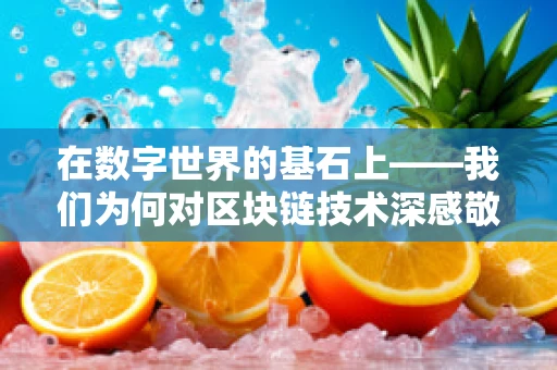 在数字世界的基石上——我们为何对区块链技术深感敬佩？