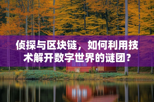 侦探与区块链，如何利用技术解开数字世界的谜团？