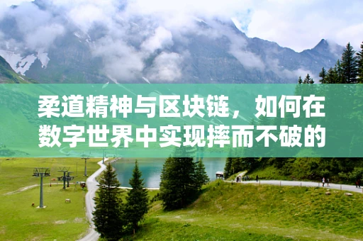 柔道精神与区块链，如何在数字世界中实现摔而不破的平衡？