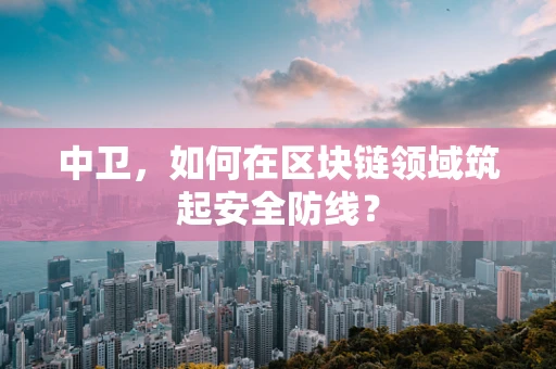 中卫，如何在区块链领域筑起安全防线？