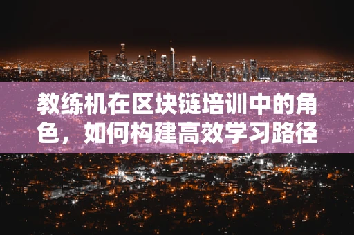 教练机在区块链培训中的角色，如何构建高效学习路径？