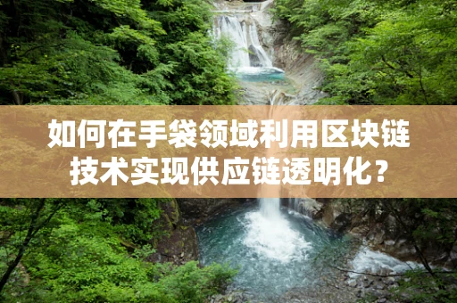 如何在手袋领域利用区块链技术实现供应链透明化？