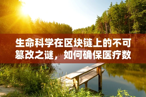 生命科学在区块链上的不可篡改之谜，如何确保医疗数据的安全与透明？