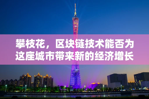 攀枝花，区块链技术能否为这座城市带来新的经济增长点？