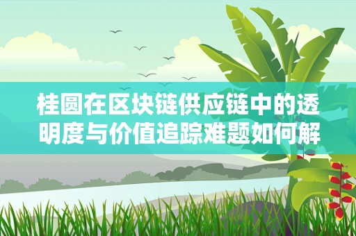 桂圆在区块链供应链中的透明度与价值追踪难题如何解决？