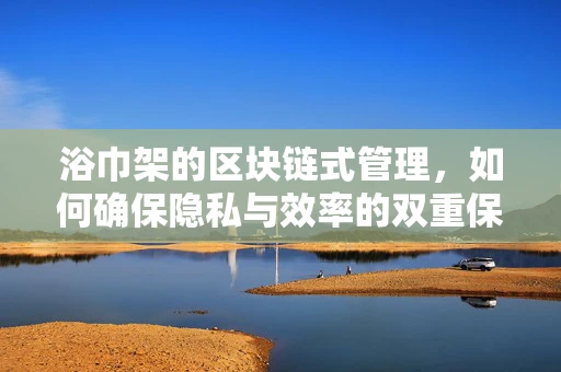 浴巾架的区块链式管理，如何确保隐私与效率的双重保障？
