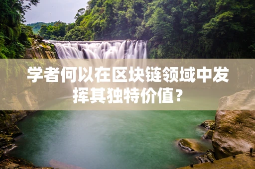 学者何以在区块链领域中发挥其独特价值？