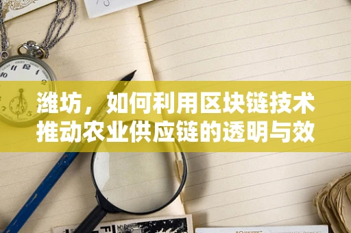 潍坊，如何利用区块链技术推动农业供应链的透明与效率？