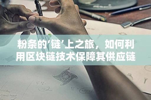 粉条的‘链’上之旅，如何利用区块链技术保障其供应链透明度？