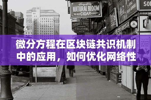 微分方程在区块链共识机制中的应用，如何优化网络性能？
