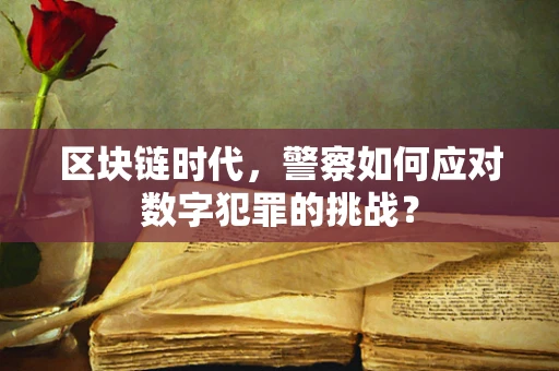 区块链时代，警察如何应对数字犯罪的挑战？