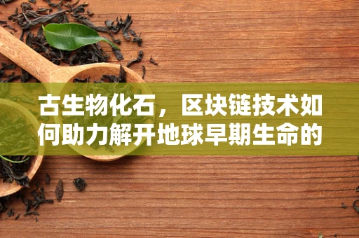 古生物化石，区块链技术如何助力解开地球早期生命的秘密？