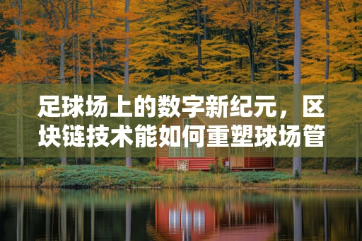 足球场上的数字新纪元，区块链技术能如何重塑球场管理？