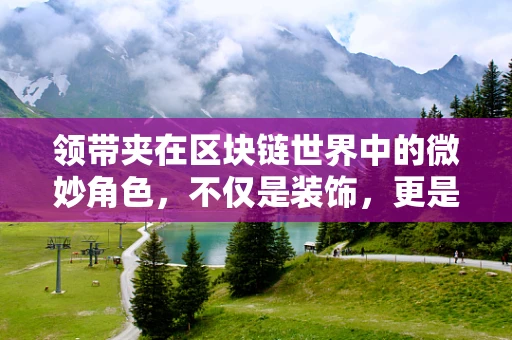 领带夹在区块链世界中的微妙角色，不仅是装饰，更是数字身份的微缩图鉴？