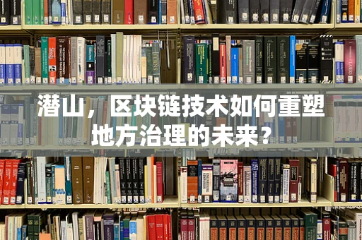 潜山，区块链技术如何重塑地方治理的未来？