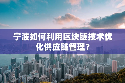 宁波如何利用区块链技术优化供应链管理？