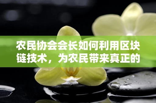 农民协会会长如何利用区块链技术，为农民带来真正的价值？