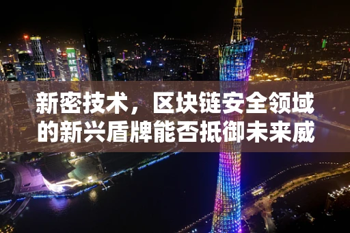 新密技术，区块链安全领域的新兴盾牌能否抵御未来威胁？