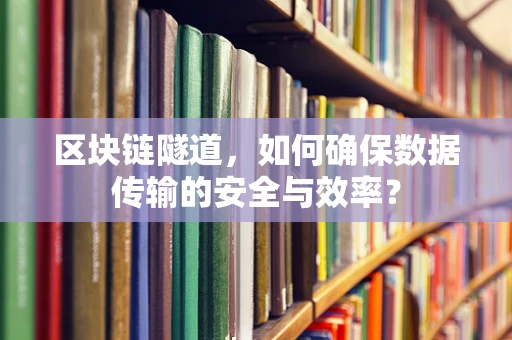 区块链隧道，如何确保数据传输的安全与效率？