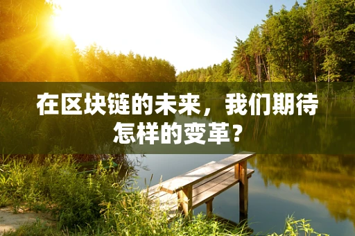 在区块链的未来，我们期待怎样的变革？