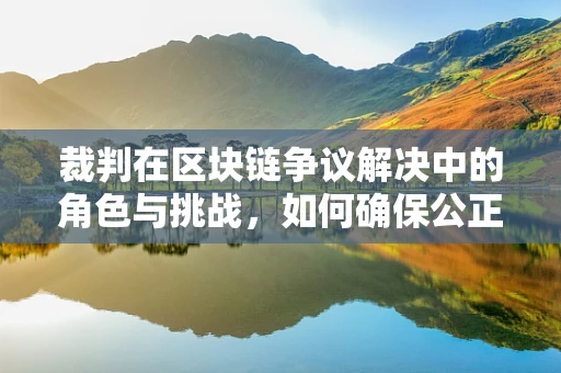 裁判在区块链争议解决中的角色与挑战，如何确保公正与效率的平衡？