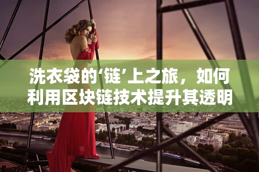 洗衣袋的‘链’上之旅，如何利用区块链技术提升其透明度与可信度？