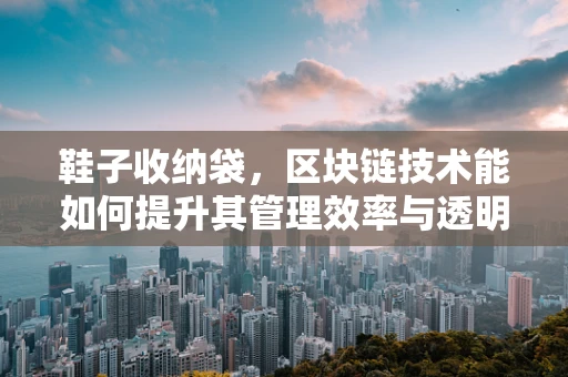 鞋子收纳袋，区块链技术能如何提升其管理效率与透明度？