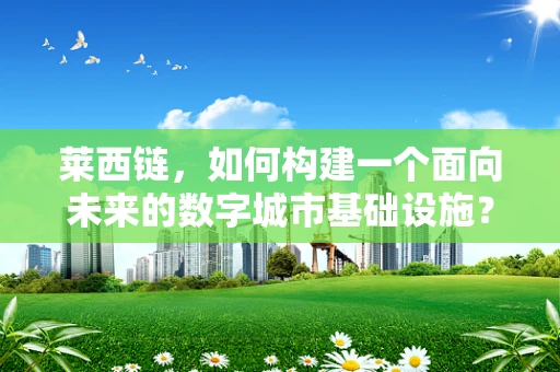 莱西链，如何构建一个面向未来的数字城市基础设施？