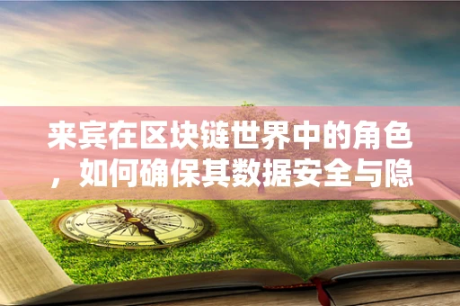 来宾在区块链世界中的角色，如何确保其数据安全与隐私？