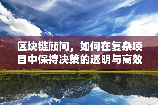 区块链顾问，如何在复杂项目中保持决策的透明与高效？