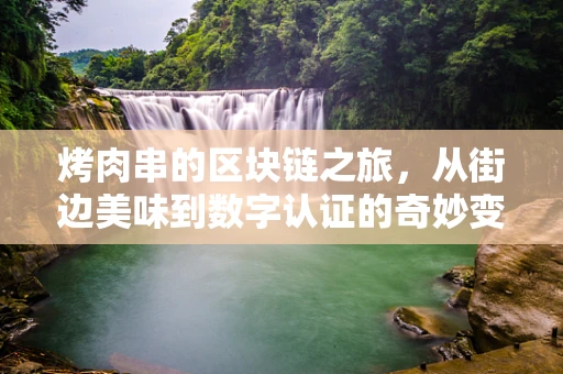 烤肉串的区块链之旅，从街边美味到数字认证的奇妙变身？