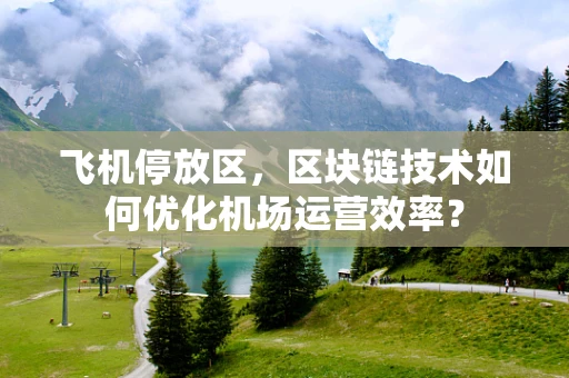 飞机停放区，区块链技术如何优化机场运营效率？