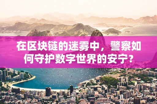 在区块链的迷雾中，警察如何守护数字世界的安宁？